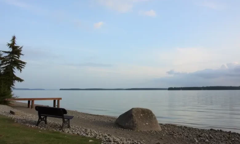 Photo of Отдых на берегу Псковского озера